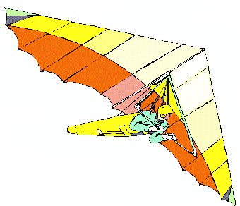 Delta wing