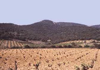 Paisaje 4
