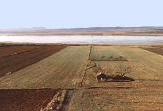Paisaje 5