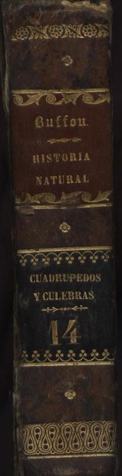 Lomo. Buffon Historia Natural de los Cuadrupedos, Oviparos y de las Culebras