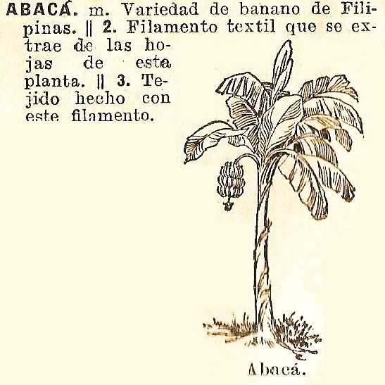 abaca