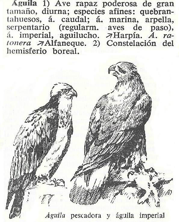 Aguilas