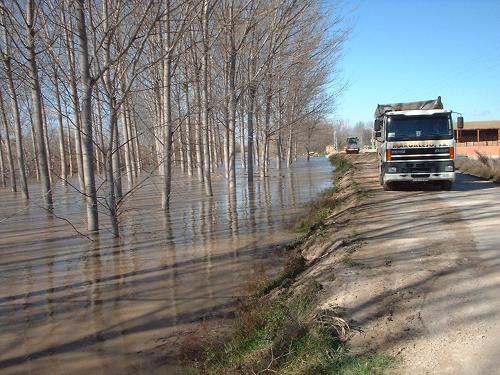 Crecida del Ebro el día 6-02-03 a su paso por Gallur en dirección a Pradilla. 18.