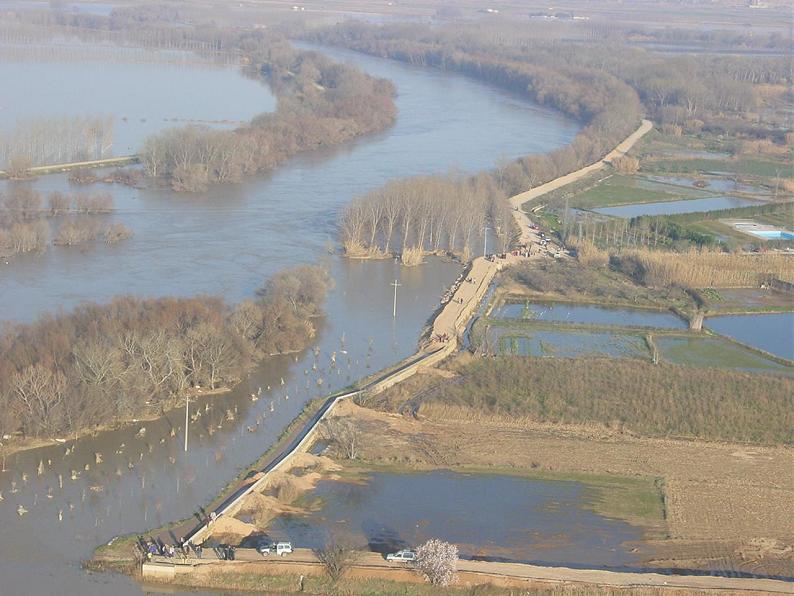 Crecida del Ebro el día 8-02-03 a su paso por la provincia de Zaragoza