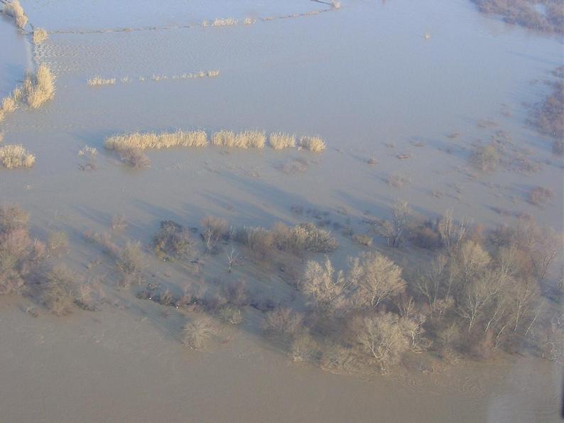 Crecida del Ebro el día 8-02-03 a su paso por la provincia de Zaragoza