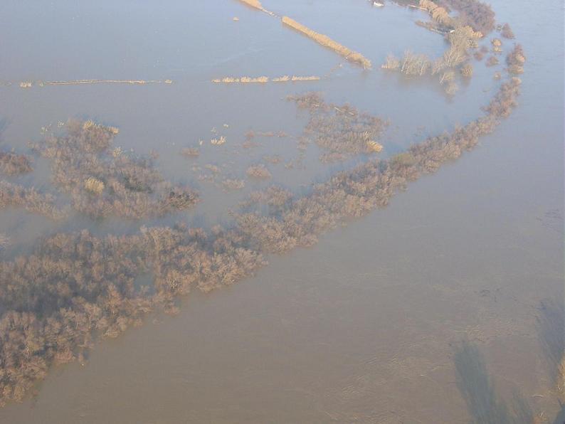 Crecida del Ebro el día 8-02-03 a su paso por la provincia de Zaragoza