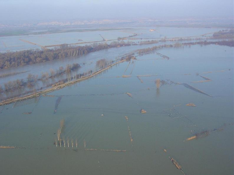Crecida del Ebro el día 8-02-03 a su paso por la provincia de Zaragoza
