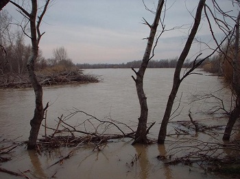 Crecida del Ebro la tarde del día 9-02-03 a su paso por la provincia de Zaragoza