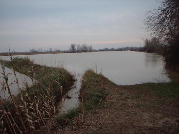 Crecida del Ebro la tarde del día 9-02-03 a su paso por la provincia de Zaragoza