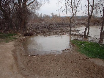 Crecida del Ebro la tarde del día 9-02-03 a su paso por la provincia de Zaragoza