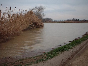 Crecida del Ebro la tarde del día 9-02-03 a su paso por la provincia de Zaragoza