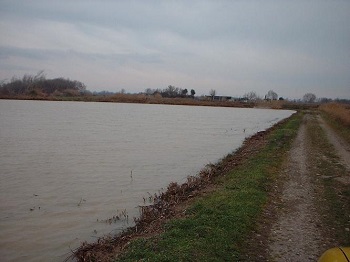 Crecida del Ebro la tarde del día 9-02-03 a su paso por la provincia de Zaragoza