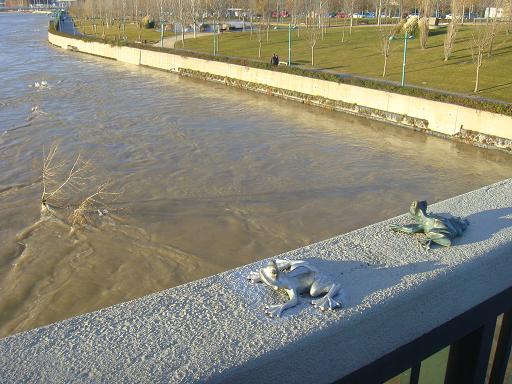 Riada del Ebro el 23 de enero de 2013 a su paso por Zaragoza. 12