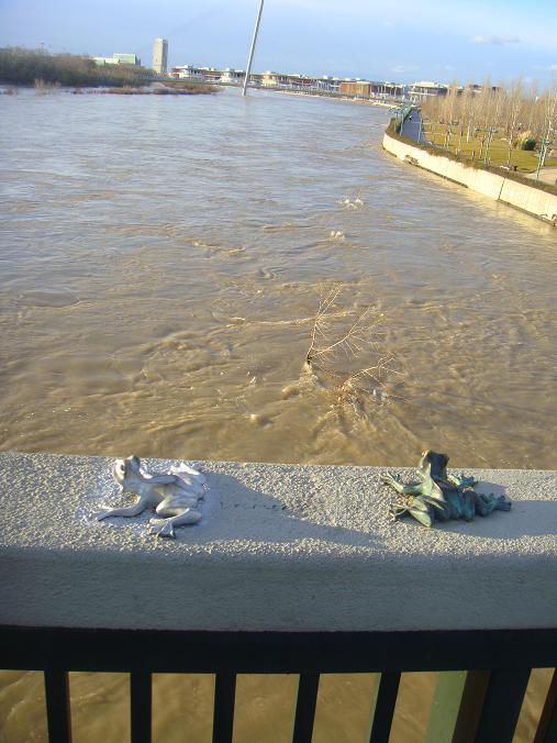 Riada del Ebro el 23 de enero de 2013 a su paso por Zaragoza. 13