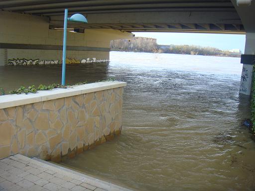 Riada del Ebro el 23 de enero de 2013 a su paso por Zaragoza. 15