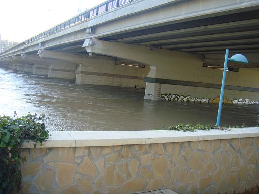 Riada del Ebro el 23 de enero de 2013 a su paso por Zaragoza. 16.