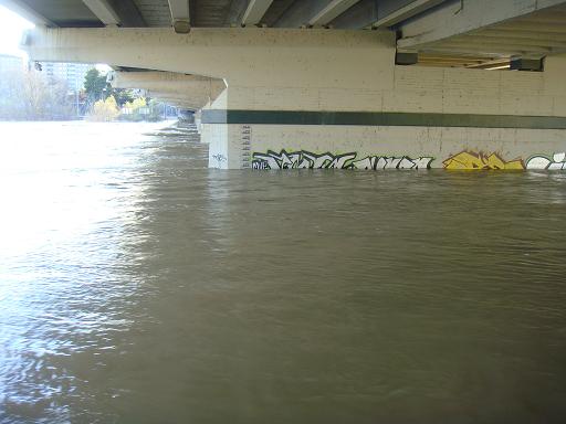 Riada del Ebro el 23 de enero de 2013 a su paso por Zaragoza. 20.