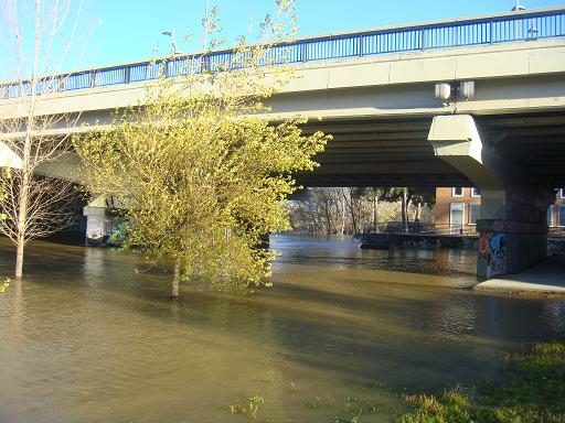 Riada del Ebro el 23 de enero de 2013 a su paso por Zaragoza. 4