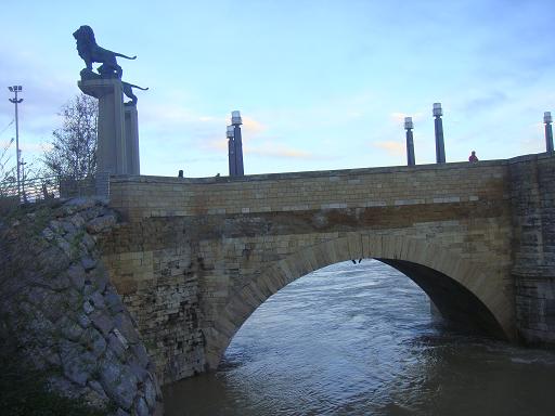 Riada del Ebro el 23 de enero de 2013 a su paso por Zaragoza. 40.