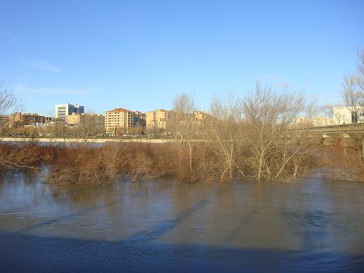 Riada del Ebro el 23 de enero de 2013 a su paso por Zaragoza. 6