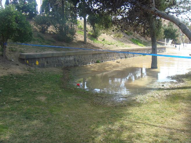 Riada del Ebro el 1 de marzo de 2015 a su paso por Zaragoza. 14