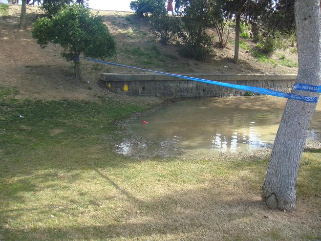 Riada del Ebro el 1 de marzo de 2015 a su paso por Zaragoza. 15