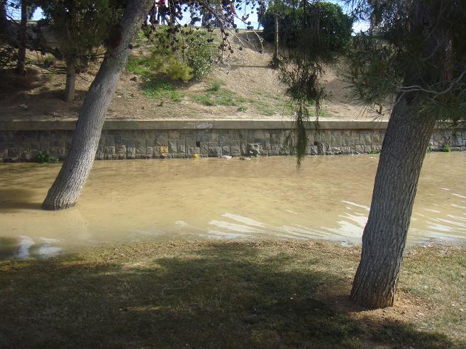 Riada del Ebro el 1 de marzo de 2015 a su paso por Zaragoza. 18