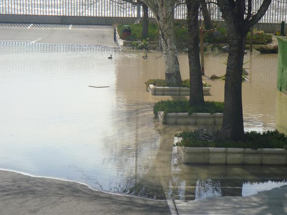 Riada del Ebro el 1 de marzo de 2015 a su paso por Zaragoza. 27