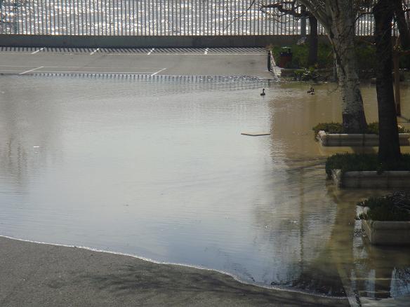 Riada del Ebro el 1 de marzo de 2015 a su paso por Zaragoza. 28