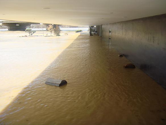 Riada del Ebro el 1 de marzo de 2015 a su paso por Zaragoza. 33