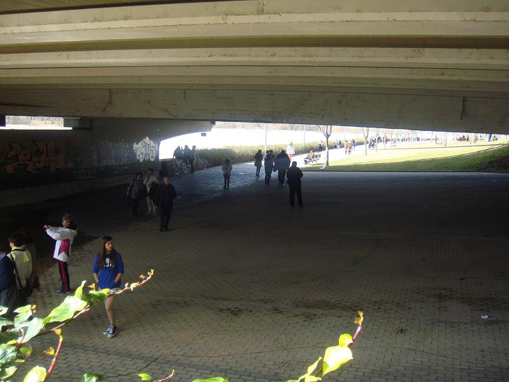 Riada del Ebro el 1 de marzo de 2015 a su paso por Zaragoza. 37