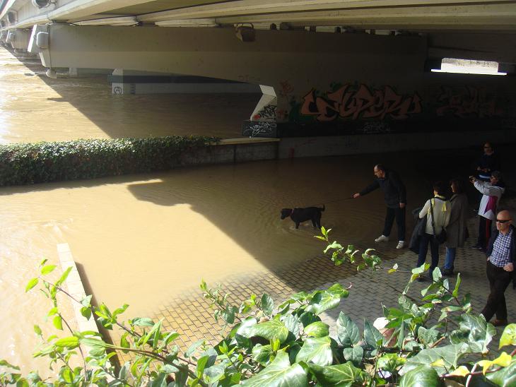 Riada del Ebro el 1 de marzo de 2015 a su paso por Zaragoza. 39