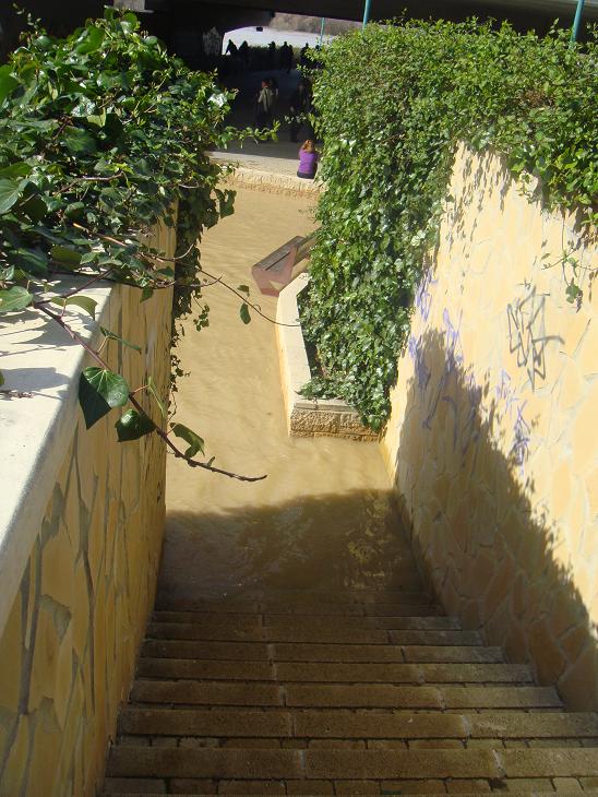 Riada del Ebro el 1 de marzo de 2015 a su paso por Zaragoza. 40