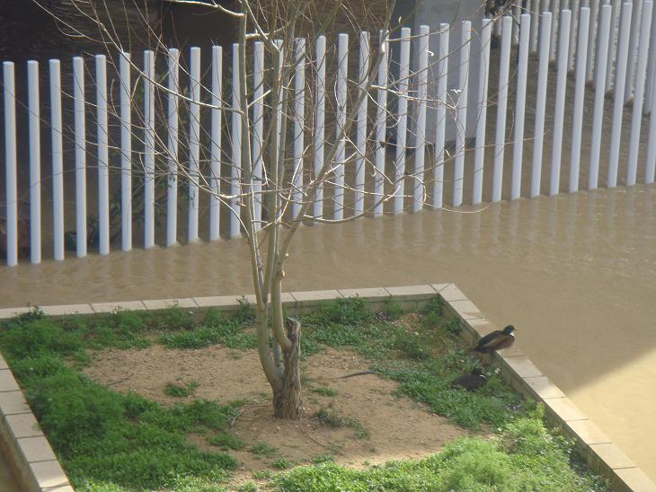 Riada del Ebro el 1 de marzo de 2015 a su paso por Zaragoza. 47