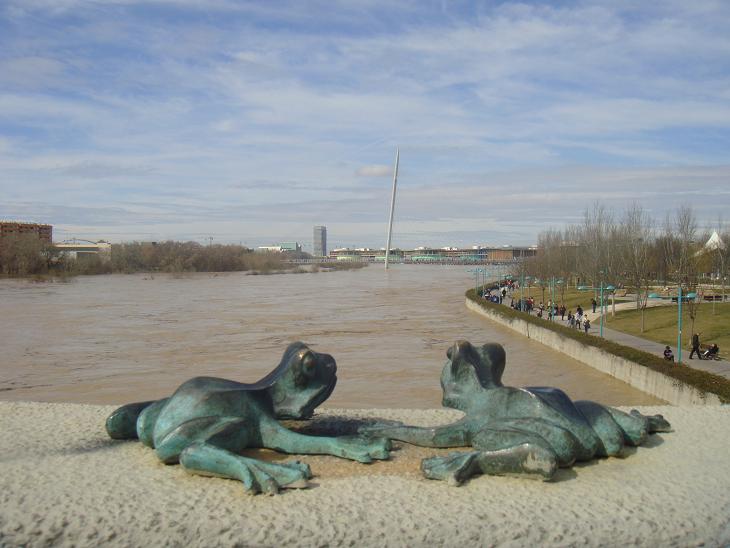 Riada del Ebro el 1 de marzo de 2015 a su paso por Zaragoza. 51