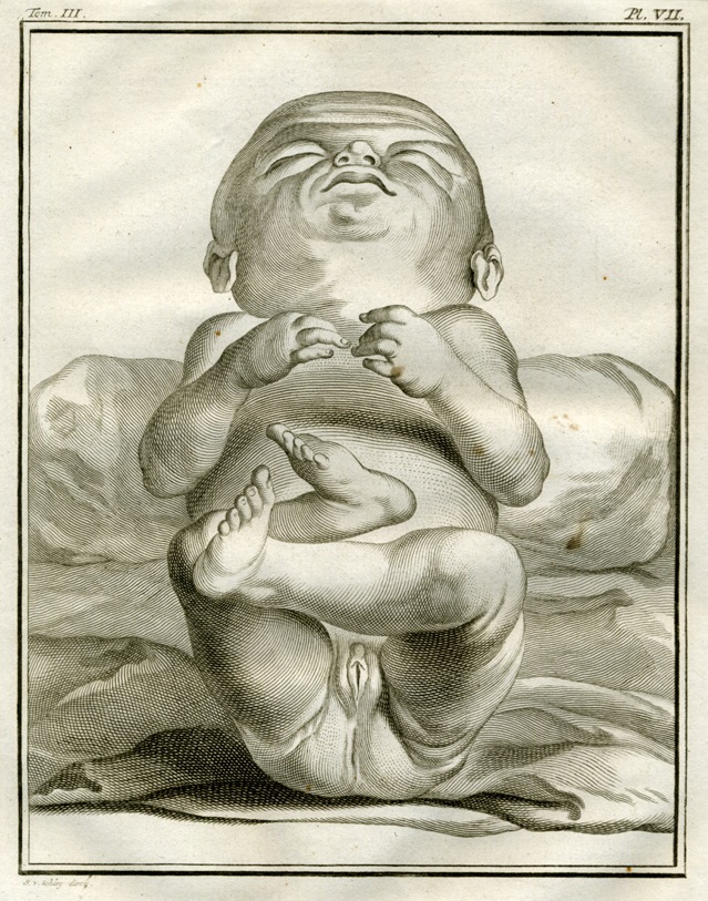 Plate 7. Buffon: Histoire naturelle, générale et particulière avec la description du Cabinet du Roi (1749-1788)