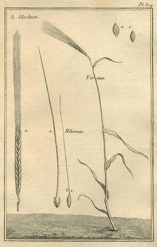TABLEAU ENCYCLOPÉDIQUE DES 3 RÈGNES DE LA NATURE 1. 304
