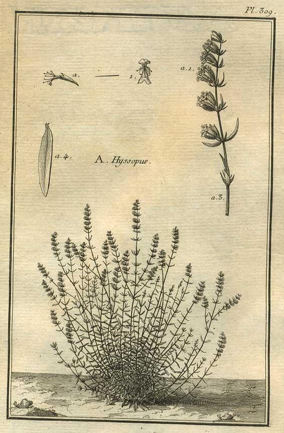 TABLEAU ENCYCLOPÉDIQUE DES 3 RÈGNES DE LA NATURE 1. 309 TABLEAU ENCYCLOPÉDIQUE DES 3 RÈGNES DE LA NATURE 1. 309