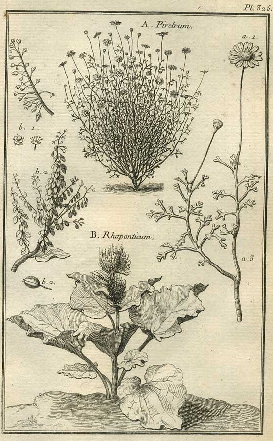 TABLEAU ENCYCLOPÉDIQUE DES 3 RÈGNES DE LA NATURE 1. 325