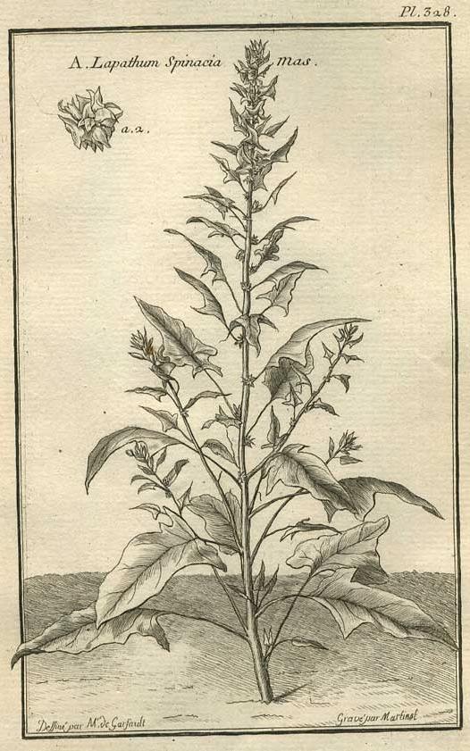 TABLEAU ENCYCLOPÉDIQUE DES 3 RÈGNES DE LA NATURE 1. 328