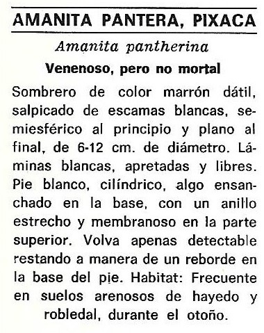 Protección de la Naturaleza. Icona. Ministerio de Agricultura. 1975. 7b