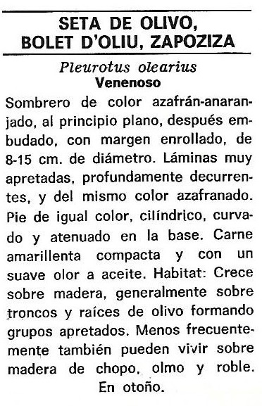 Protección de la Naturaleza. Icona. Ministerio de Agricultura. 1975. 7e