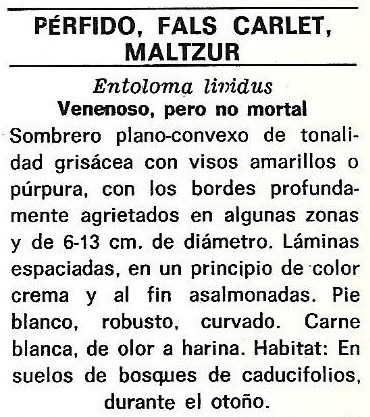 Protección de la Naturaleza. Icona. Ministerio de Agricultura. 1975. 7g