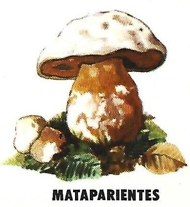Protección de la Naturaleza. Icona. Ministerio de Agricultura. 1975. 8h
