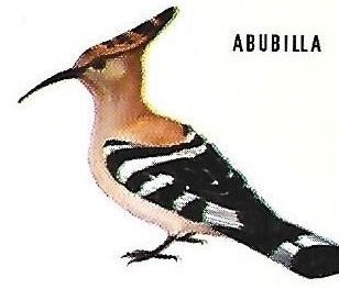 Abubilla. Aves insectívoras a proteger. Icona. 1975.
