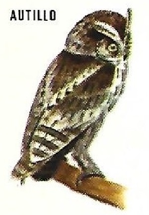 Autillo. Aves insectívoras a proteger. Icona. 1975.