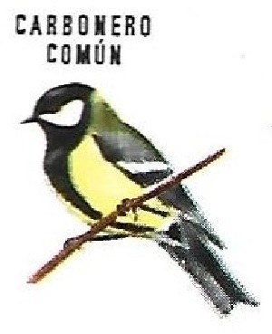 Carbonero común. Aves insectívoras a proteger. Icona. 1975.