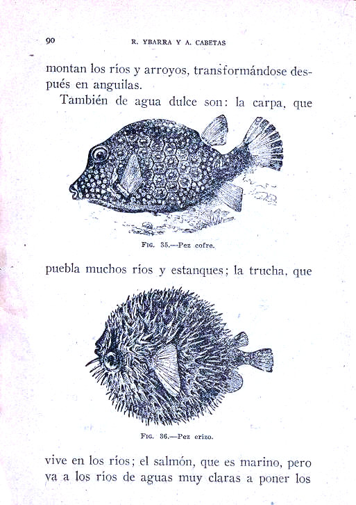 Elementos de Ciencias de la naturaleza. Rafael Ybarra mendez y Angel Cabeta Loshuertos. Página 90.