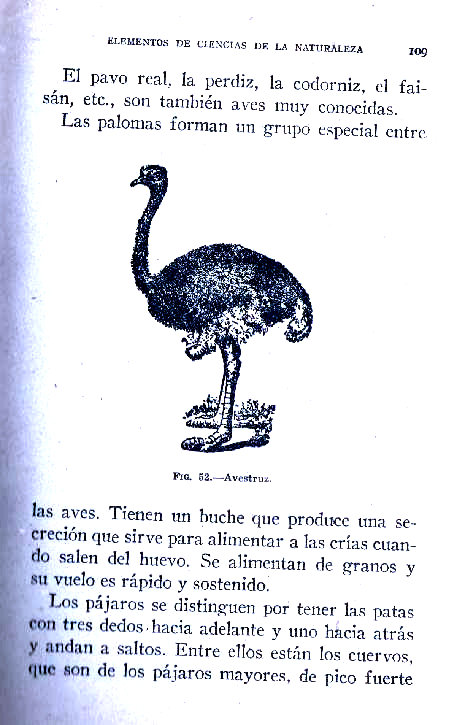 Elementos de Ciencias de la naturaleza. Rafael Ybarra mendez y Angel Cabeta Loshuertos. Página 109.
