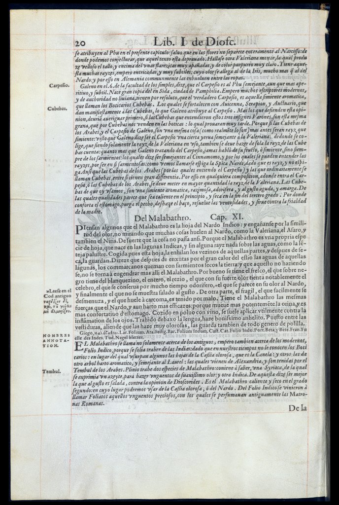 De Materia Medica de Dioscorides. Amberes 1555. Libro I. 20